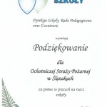 Powiększ zdjęcie Podziękowanie OSP Ślęzaki