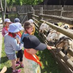 Powiększ zdjęcie Przedszkolaki w przydomowym zwierzyńcu w Osadzie Kochany